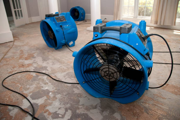 Best Water damage contractors near me  in Fairfield, IL
