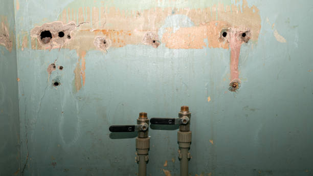 Best Water damage restoration near me  in Fairfield, IL