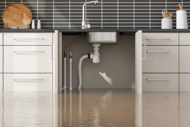 Best Water damage contractors near me  in Fairfield, IL